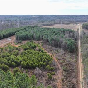 Photo #4 of 7975 Evans Farm, Tobaccoville, NC 29.1 acres