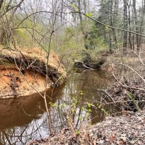 Photo #3 of 5591 Mount Lebanon, Asheboro, NC 12.7 acres