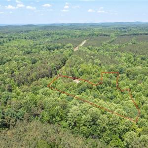 Photo #2 of 5591 Mount Lebanon, Asheboro, NC 12.7 acres