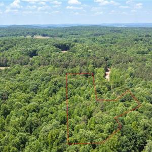 Photo #5 of 5591 Mount Lebanon, Asheboro, NC 12.7 acres