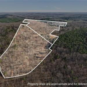 Photo #3 of Eagles Field, Asheboro, NC 21.2 acres
