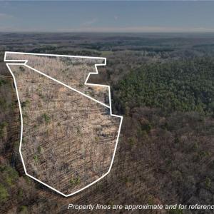Photo #1 of Eagles Field, Asheboro, NC 21.2 acres
