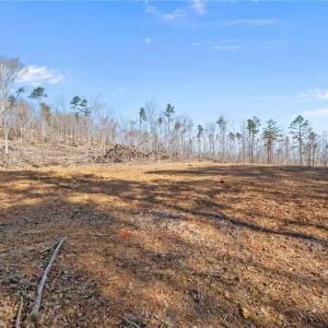 Winter - home site mostly cleared