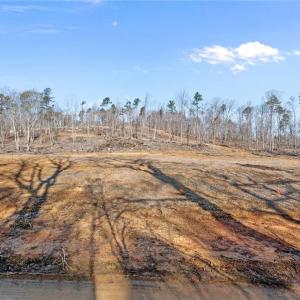 Winter - homes site mostly cleared