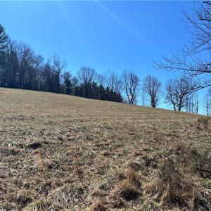 Photo #13 of TBD Fireside, Laurel Fork, VA 21.0 acres