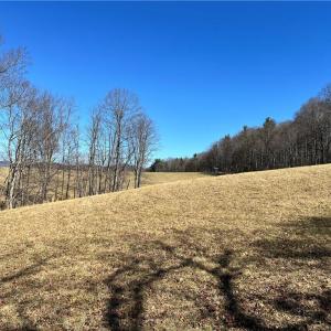 Photo #17 of TBD Fireside, Laurel Fork, VA 21.0 acres