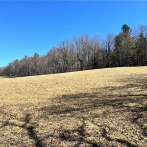 Photo #16 of TBD Fireside, Laurel Fork, VA 21.0 acres