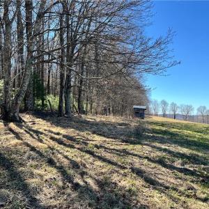 Photo #36 of TBD Fireside, Laurel Fork, VA 21.0 acres