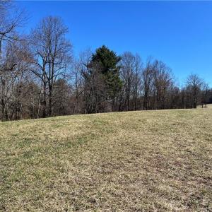 Photo #45 of TBD Fireside, Laurel Fork, VA 21.0 acres