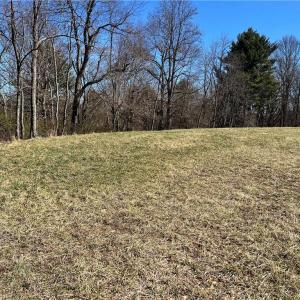 Photo #44 of TBD Fireside, Laurel Fork, VA 21.0 acres