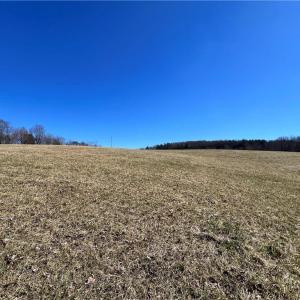 Photo #4 of TBD Fireside, Laurel Fork, VA 21.0 acres