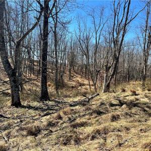 Photo #8 of TBD Fireside, Laurel Fork, VA 21.0 acres