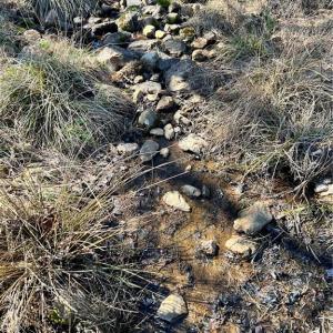 Photo #12 of TBD Fireside, Laurel Fork, VA 21.0 acres