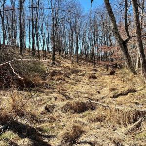 Photo #9 of TBD Fireside, Laurel Fork, VA 21.0 acres
