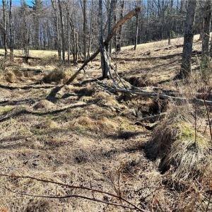 Photo #10 of TBD Fireside, Laurel Fork, VA 21.0 acres