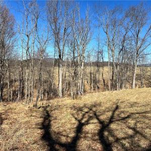 Photo #18 of TBD Fireside, Laurel Fork, VA 21.0 acres