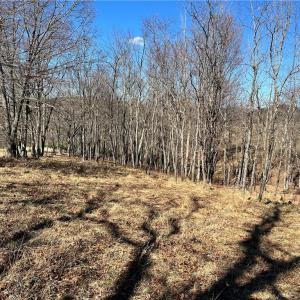 Photo #19 of TBD Fireside, Laurel Fork, VA 21.0 acres