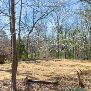 Photo #11 of 108 Wedgefield, Winston-Salem, NC 0.5 acres