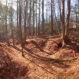 Photo #12 of 3341 NC Highway 66, Westfield, NC 16.2 acres