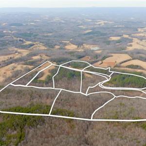 Photo #20 of 3341 NC Highway 66, Westfield, NC 16.2 acres