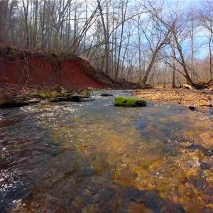 Photo #14 of 3341 NC Highway 66, Westfield, NC 16.2 acres