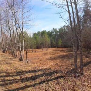 Photo #15 of 3341 NC Highway 66, Westfield, NC 16.2 acres