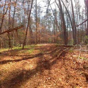 Photo #11 of 3341 NC Highway 66, Westfield, NC 16.2 acres