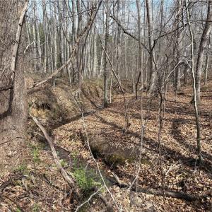 Photo #23 of Doll Branch, Milton, NC 64.7 acres