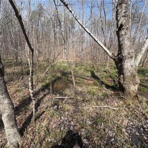 Photo #27 of Doll Branch, Milton, NC 64.7 acres