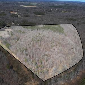 Photo #2 of Doll Branch, Milton, NC 64.7 acres