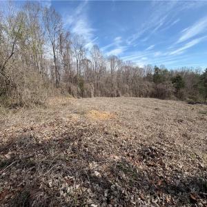 Photo #12 of Doll Branch, Milton, NC 64.7 acres