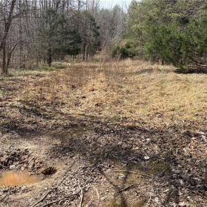 Photo #26 of Doll Branch, Milton, NC 64.7 acres
