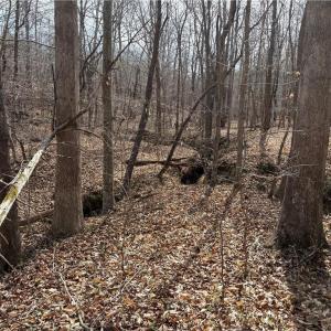 Photo #22 of Doll Branch, Milton, NC 64.7 acres