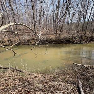 Photo #30 of Doll Branch, Milton, NC 64.7 acres