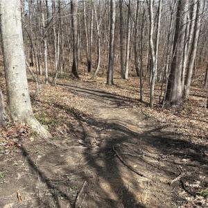 Photo #14 of Doll Branch, Milton, NC 64.7 acres