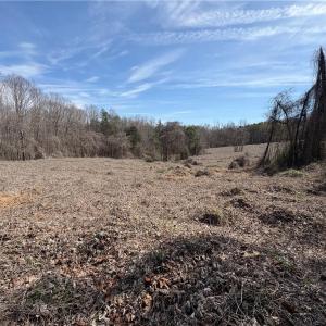 Photo #11 of Doll Branch, Milton, NC 64.7 acres