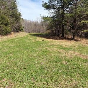 Photo #19 of Doll Branch, Milton, NC 64.7 acres