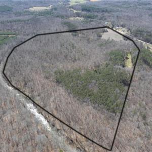 Photo #6 of Doll Branch, Milton, NC 64.7 acres
