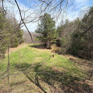 Photo #17 of Doll Branch, Milton, NC 64.7 acres