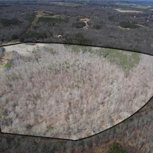 Photo #1 of Doll Branch, Milton, NC 64.7 acres