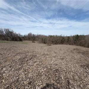 Photo #38 of Doll Branch, Milton, NC 64.7 acres