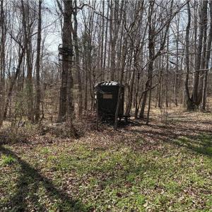 Photo #18 of Doll Branch, Milton, NC 64.7 acres