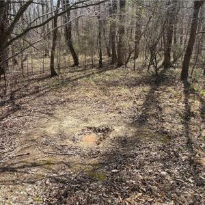 Photo #25 of Doll Branch, Milton, NC 64.7 acres