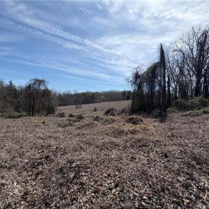 Photo #13 of Doll Branch, Milton, NC 64.7 acres