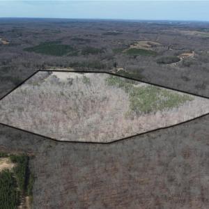 Photo #3 of Doll Branch, Milton, NC 64.7 acres