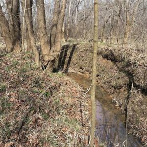 Photo #32 of Doll Branch, Milton, NC 64.7 acres