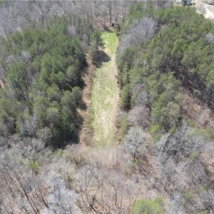 Photo #9 of Doll Branch, Milton, NC 64.7 acres