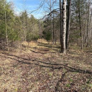 Photo #24 of Doll Branch, Milton, NC 64.7 acres