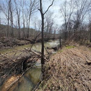 Photo #31 of Doll Branch, Milton, NC 64.7 acres