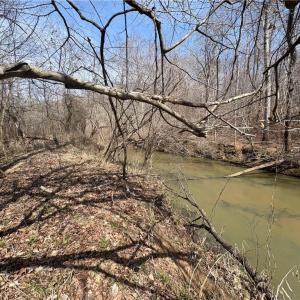 Photo #29 of Doll Branch, Milton, NC 64.7 acres